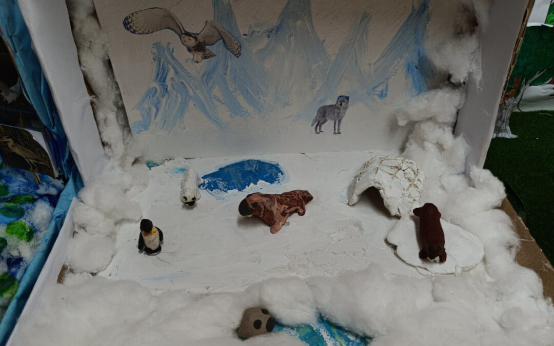 Radionica – Izrada ekosustava